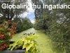 Elad� 103.00 nm-es Fel�j�tand� Csal�di h�z B�k�scsaba