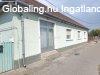 Elad� k�trendbeli csal�di h�z Izs�kon