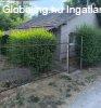 Elad� Tiszaf�ldv�r �kincsem I. �ton, egy szob�s fel�j�tott t
