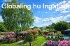Solym�ron k�tgener�ci�s csal�di h�z elad�