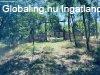 Elad� tanya Szentkir�ly, 	�sv�nyv�z �zem k�zel�ben