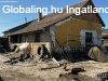 Elad� fel�j�tand� tanya! - R�szke