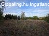 NAGY TELEKKEL RENDELKEZŐ BIRTOK ELADÓ - Balatonlelle NAGY TELEKKEL RENDELKEZŐ BIRTOK ELADÓ - Balatonlelle