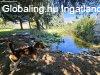 Csal�di h�z var�zslatos k�rnyezetben