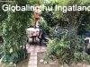 Elad� 36m2-es Sorh�z, Dunakeszi