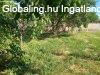 Elad� csal�di h�z Sereg�lyesen
