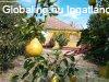 Si�fokon belv�rosi csal�di h�z