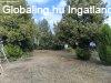 Elad� 55.00 nm-es Egy�b Pilis