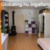 Elad� 55.00 nm-es Egy�b Pilis