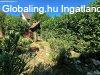 Elad�  Zalaegerszeg, 	Karbantartott, 5 szob�s lak�s