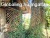 Elad� csal�di h�z Kust�nszeg, 	A t� szomsz�ds�g�ban!