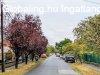 Elad� csal�di h�z Budapest, XVI. ker�let, 	Szabadkai utca