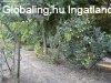 Elad� csal�di h�z Erd�kertes, 	Kazinczy utca