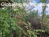 Kis h�z, nagy telek ? rengeteg lehet�s�ggel S�ndorfalva kisk