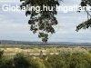 �sf�k �lel�s�ben