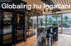 Elad� 600m2-es Csal�di h�z, Buda�rs