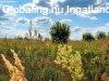Elad� 180m2-es Csal�di h�z, Kemecse