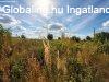 Elad� 180m2-es Csal�di h�z, Kemecse