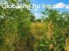 Elad� 180m2-es Csal�di h�z, Kemecse