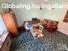 Elad� csal�di h�z Kiskundorozsm�n! - Szeged