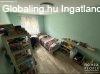 Elad� H�z Szegeden!