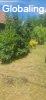 Buzs�kon fel�j�tand� csal�di h�z elad�