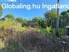 Lengyelt�ti sz�l�n k�n�lunk megv�telre egy Belter�leti udvar