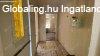 Z�ld�vezeti csal�di h�z Miskolcon elad�
