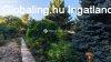 Elad� h�z, Kecskem�t
