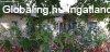 R�k�czifalv�n elad� kertes csal�di h�z nagy kerttel! - R�k�c