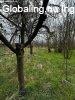 Hajd�b�sz�rm�ny Bodasz�l� h�z �s telek elad�