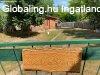 �rnyas f�k alatt k�t kicsi h�zik� 