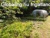 �rnyas f�k alatt k�t kicsi h�zik� 