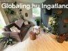 EGY KIS H�Z, AHOL NAGYOT LEHET �LMODNI?