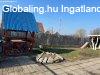 Tarna�rs�n 79 nm-es 4 szob�s csal�di h�z plusz �p�t�si telek