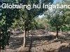 J�szd�zs�n 9483 nm-es telken, 4 hrsz-on l�v� ingatlan, h�z e