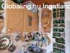 J�szber�nyben k�t k�l�n�ll� h�z egy telken elad�!