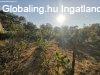 Elad� csal�di h�z Maroshegyen - Sz�kesfeh�rv�r