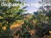 Elad� csal�di h�z Maroshegyen - Sz�kesfeh�rv�r