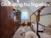 Elad� sus�ni t�gla h�z! - H�dmez�v�s�rhely
