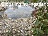 Ócsa központjában ikerház belső lakása kiváló állapotban ela Ócsa központjában ikerház belső lakása kiváló állapotban ela