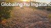 Elad� birtok Teng�d�n
