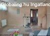 4 SZOBÁS CSALÁDI HÁZ TELJES PINCÉVEL ÉS GARÁZZSAL, 951 M˛-ES 4 SZOBÁS CSALÁDI HÁZ TELJES PINCÉVEL ÉS GARÁZZSAL, 951 M˛-ES