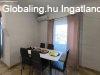 Csal�di h�z Abonyban,gar�zzsal