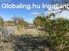 Elad� csal�di h�z Tura, 	D�lib�b utca