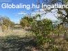 Elad� csal�di h�z Tura, 	D�lib�b utca