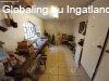 Sz�p k�rnyezetben meleg otthon egy helyen - Sz�kesfeh�rv�r