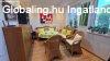 Elad� csal�di h�z M�riak�lnok, 	Foly�part