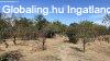 Elad� 70.00 nm-es Fel�j�tand� Csal�di h�z Kl�rafalva