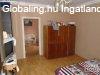 Petfitelepi hzrsz elad! - Szeged